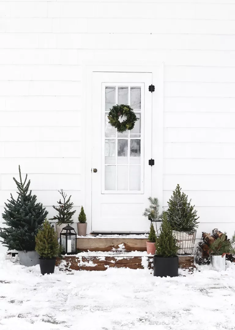 68 Christmas Front Porch Ideas That Make Your Home the Envy Mini Tree Woodland Forest