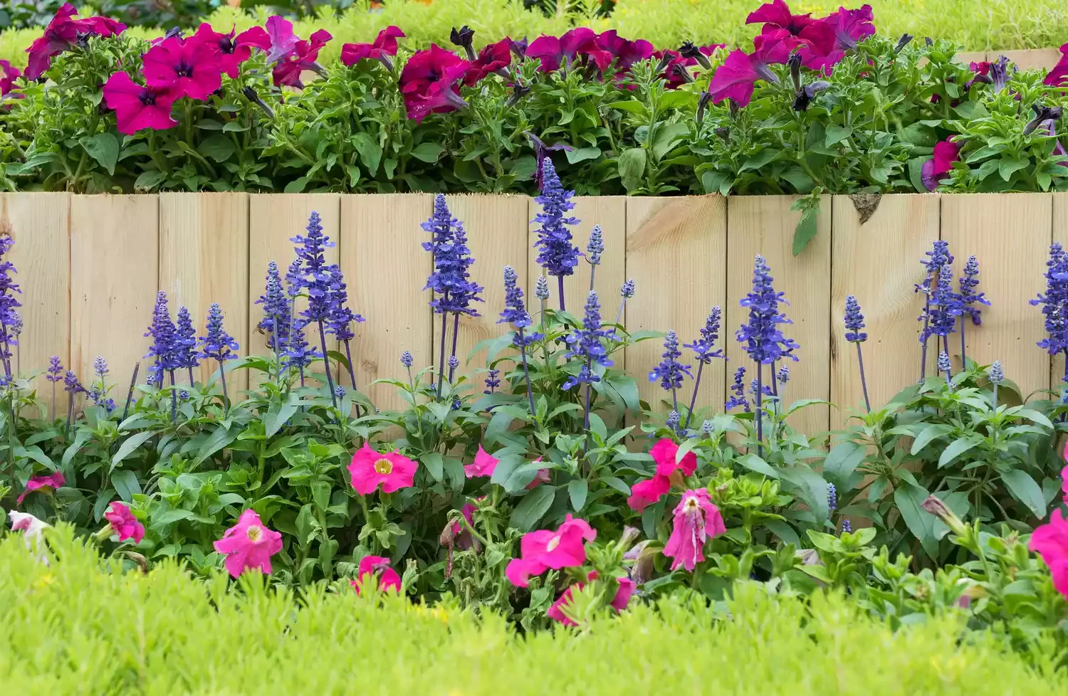 30 Affordable and Creative Ways to Define Your Garden Boundaries Mini Wooden Fence Border