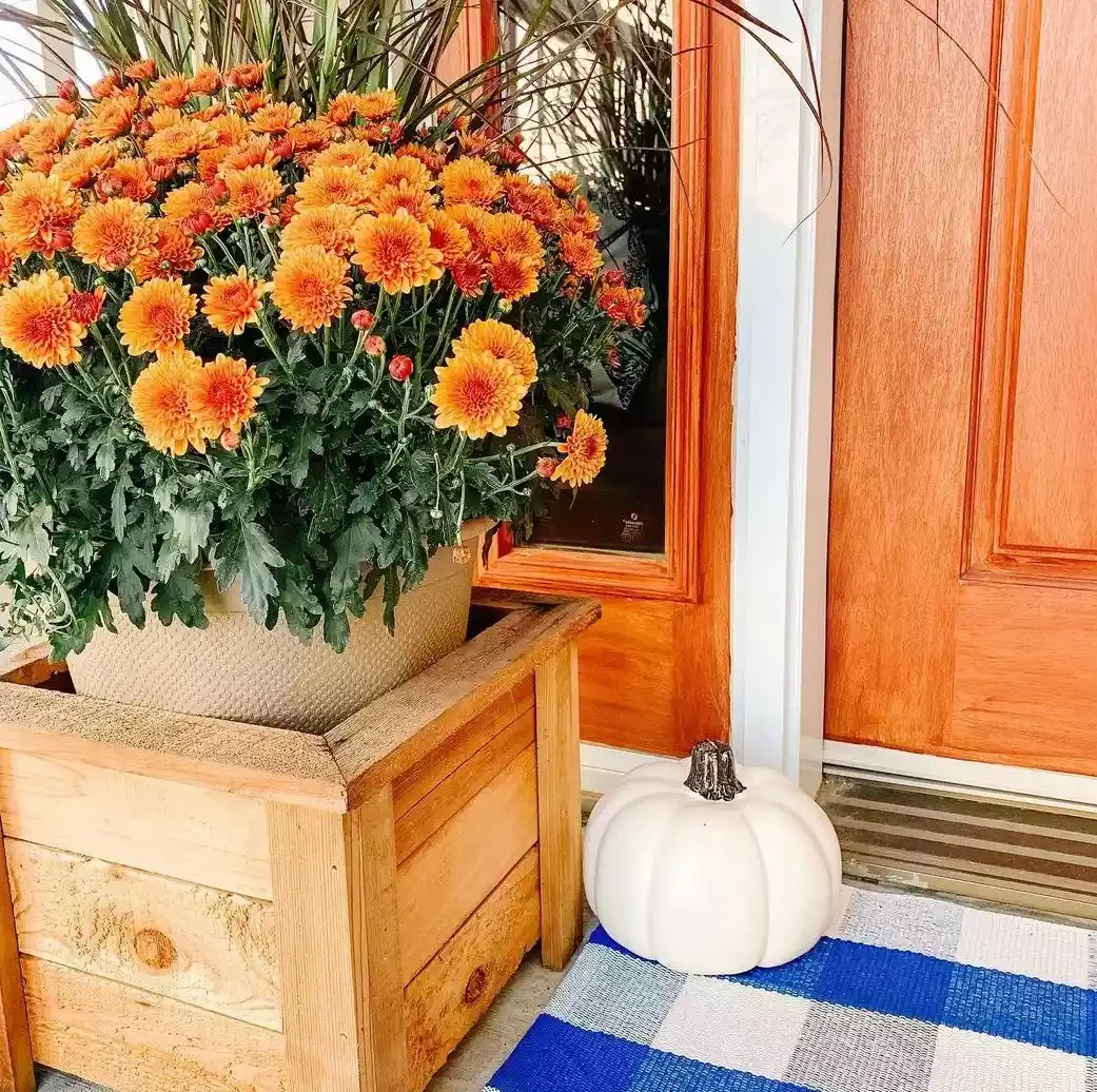 41 Beautiful Fall Outdoor Decorating Ideas to Transform Your Space This Season 36 Mix Complementary Colors