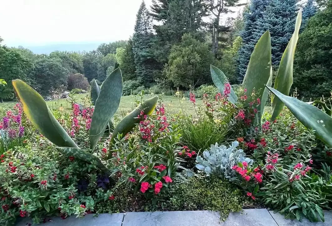 37 Stunning Flower Bed Designs That Will Transform Your Garden Mix Plant Aesthetics
