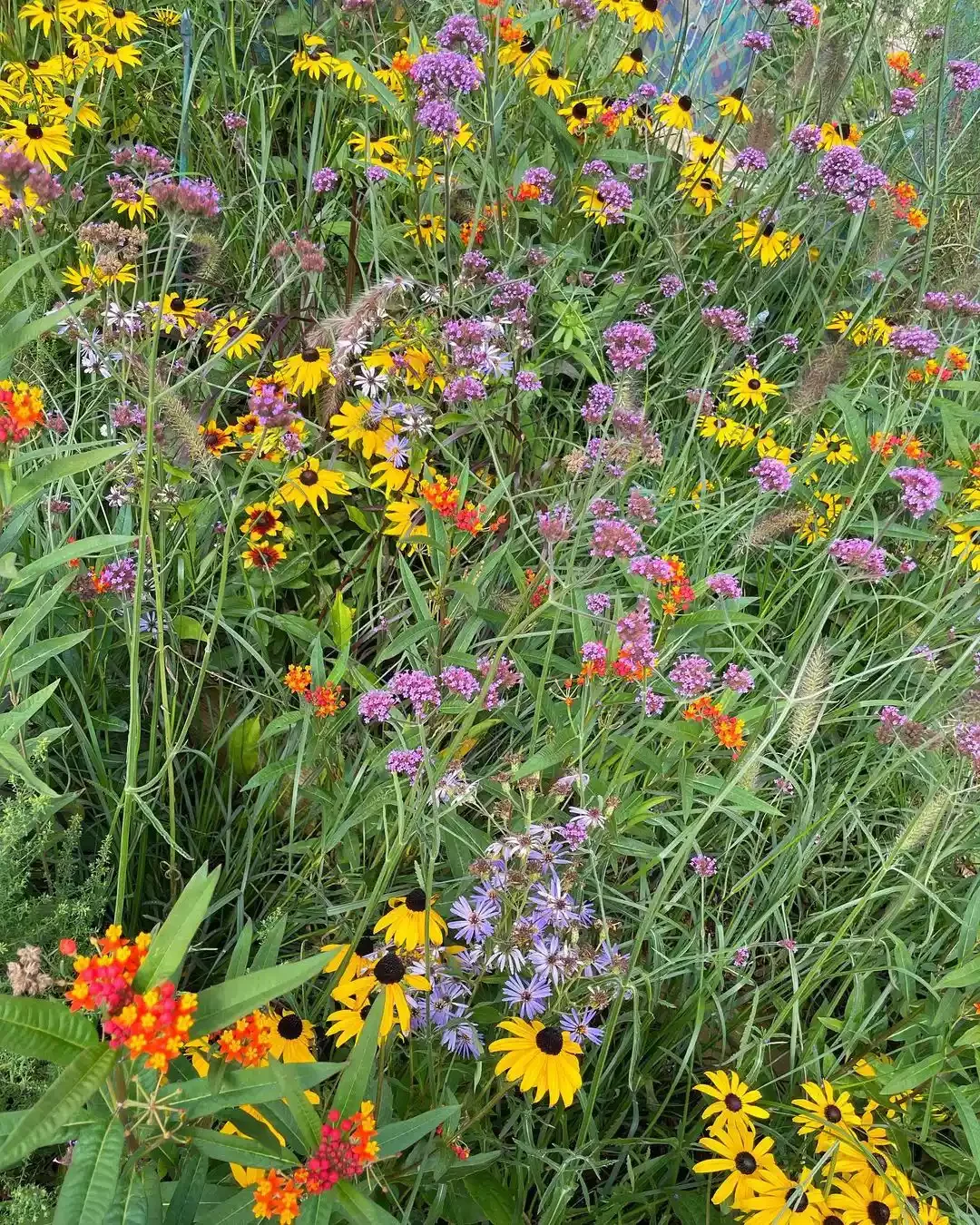 15 Stunning Wildflower Garden Designs to Transform Your Backyard Into a Natural Paradise Mix the Colors