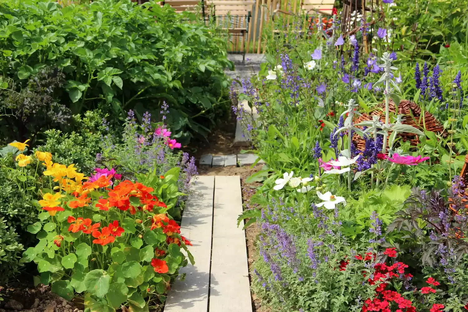 23 Creative Garden Design Ideas That Will Transform Your Outdoor Space Mixed Herb, Vegetable, and Flower Garden