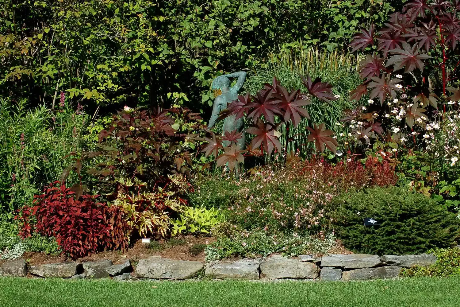 6 Creative Ways to Design Your Property Boundaries Mixing Evergreen and Flowering Shrubs