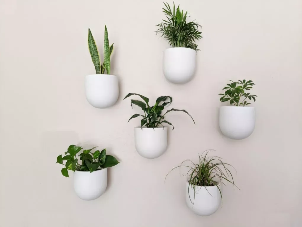 30 Creative DIY Wall Planter Projects to Transform Your Space Modern Boho Style Plant Wall
