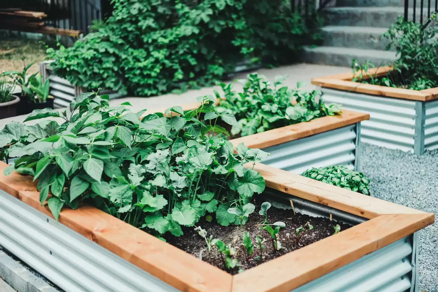 Modern Corrugated Metal Raised Bed