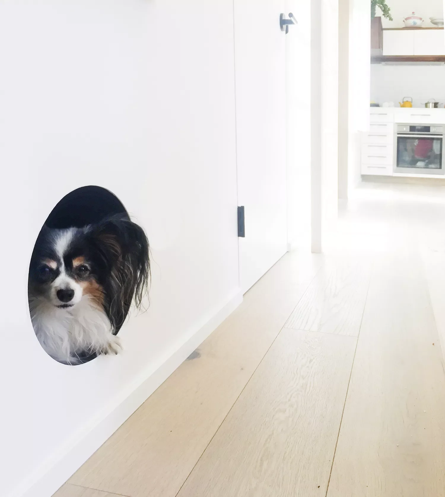 28 Incredible Dog Room Ideas That Will Make Both You and Your Furry Friend Happy 25 Modern Dog Room