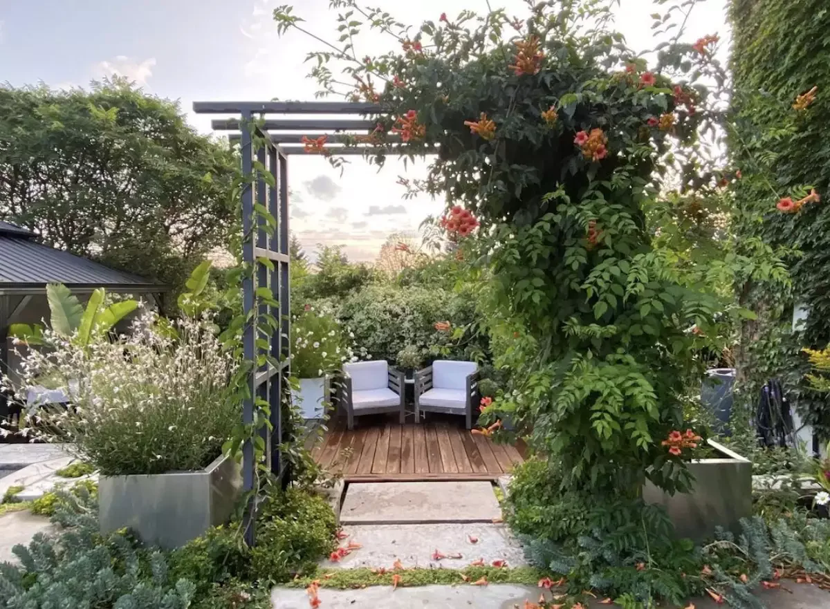31 Stunning Pergola Ideas to Transform Your Backyard Into a Stylish Retreat 5 Modern Pergola