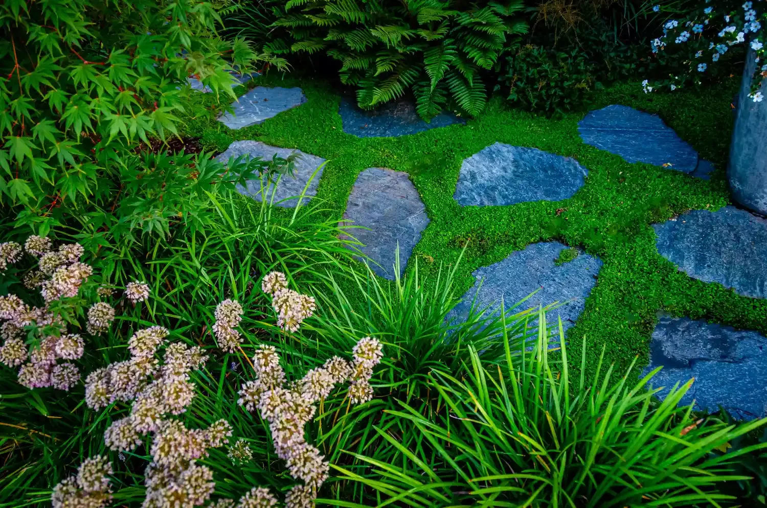 27 Gorgeous Garden Pathway Ideas to Transform Your Outdoor Space Mossy Stepping Stones