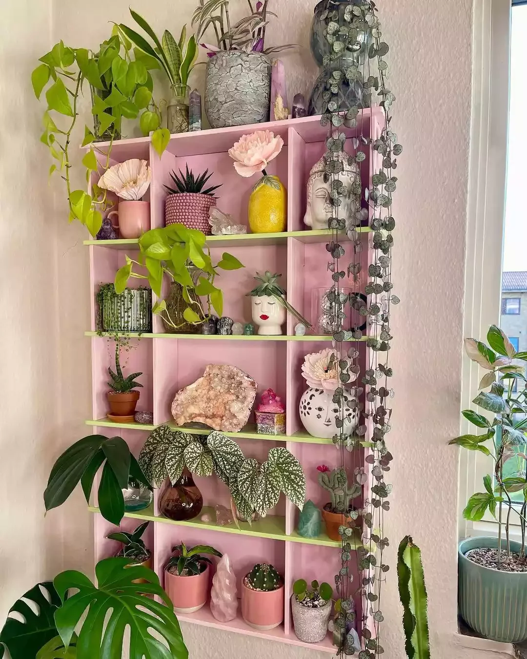 15 Creative Plant Display Ideas That'll Transform Your Home Into a Green Paradise 13 Mount Your Shelf to the Wall