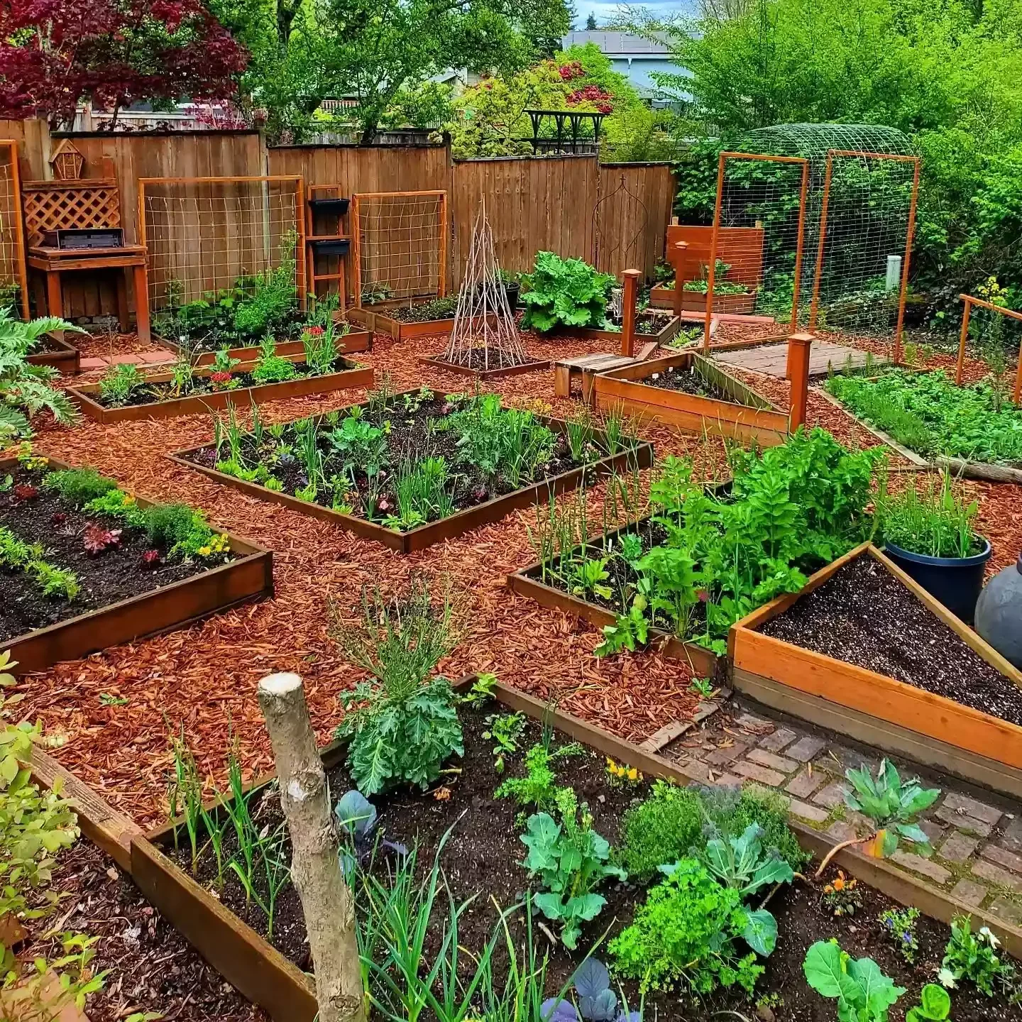Multiple Trellises