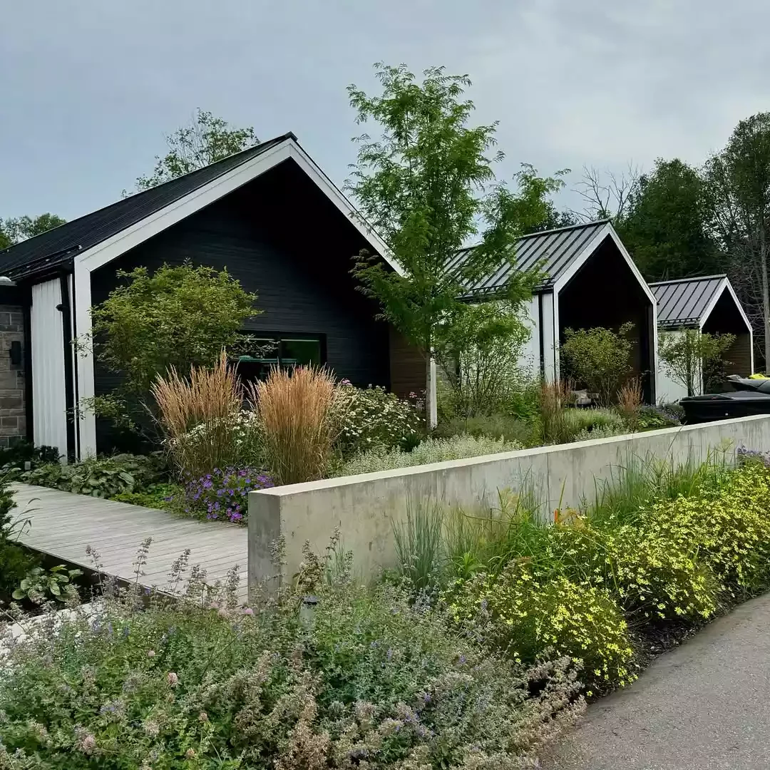 8 Beautiful Grass-Free Front Yard Ideas That Will Transform Your Outdoor Space Native Gardens