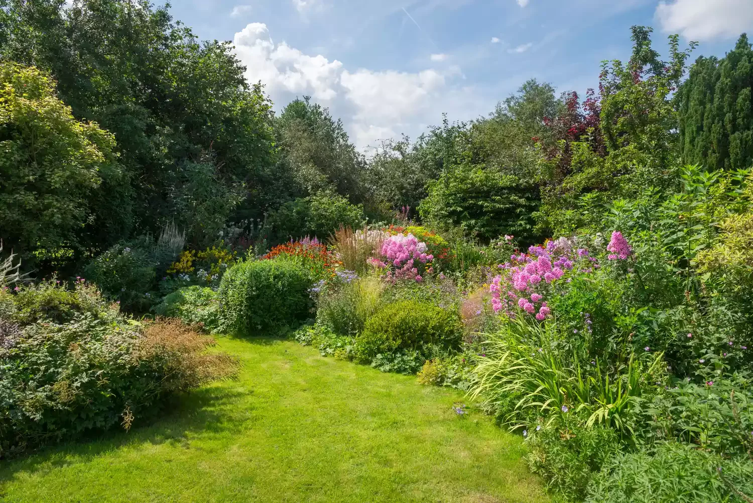30 Affordable and Creative Ways to Define Your Garden Boundaries Natural Plant Border