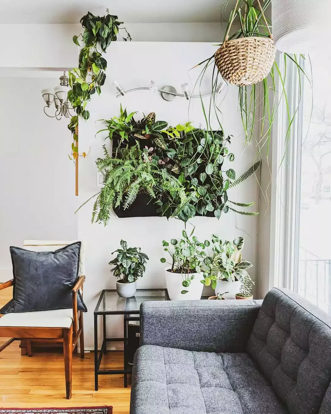 26 Stunning Plant Wall Ideas That'll Transform Your Home Into a Green Paradise 5 Natural Plant Wall