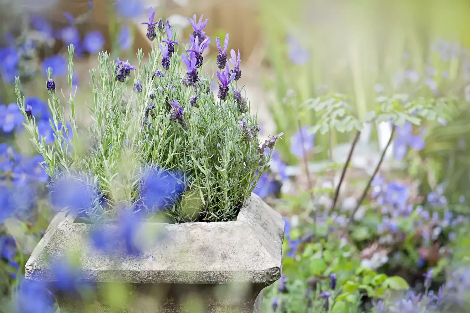 Natural Slab Stone Raised Bed