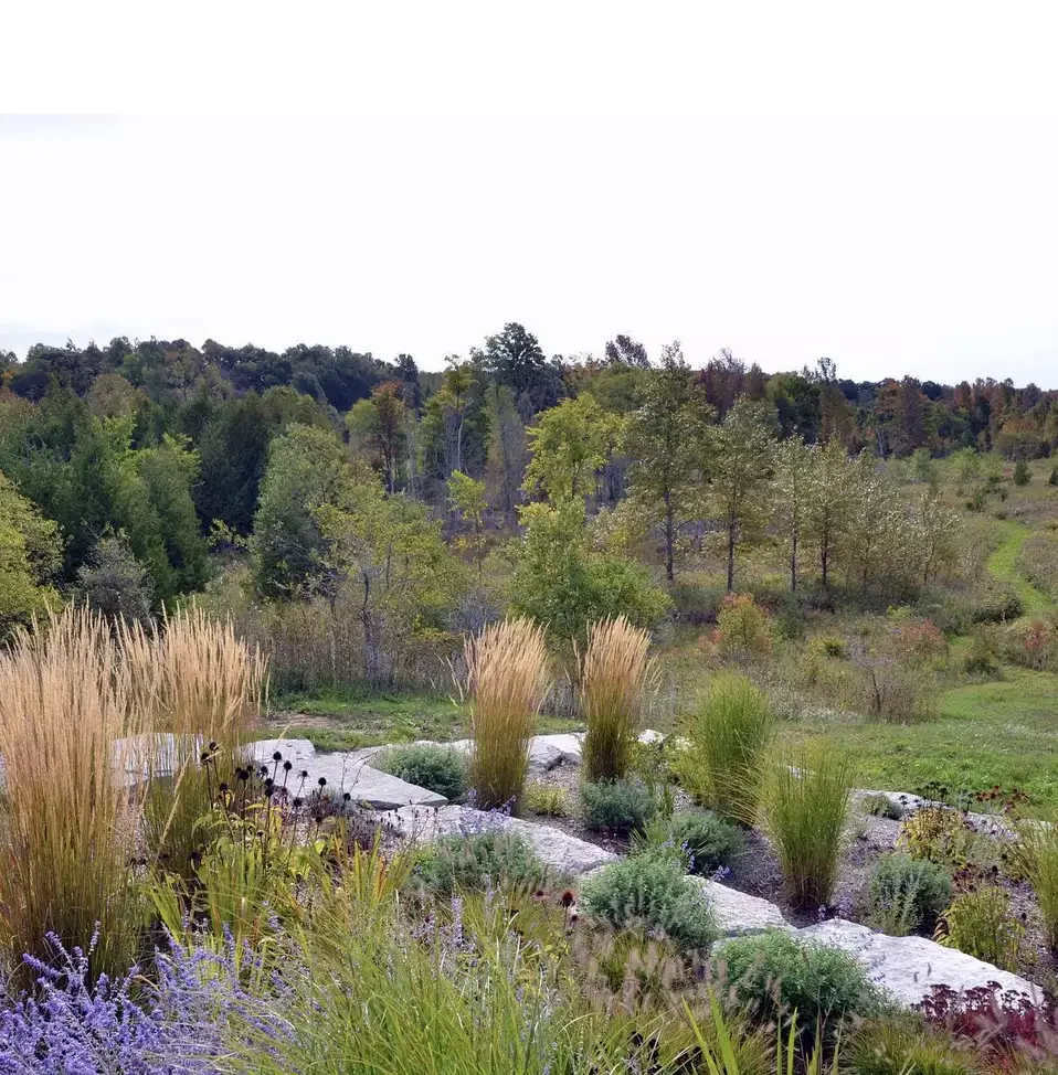 25 Stunning Garden Border Ideas That'll Transform Your Yard Into a Polished Paradise Natural Stone