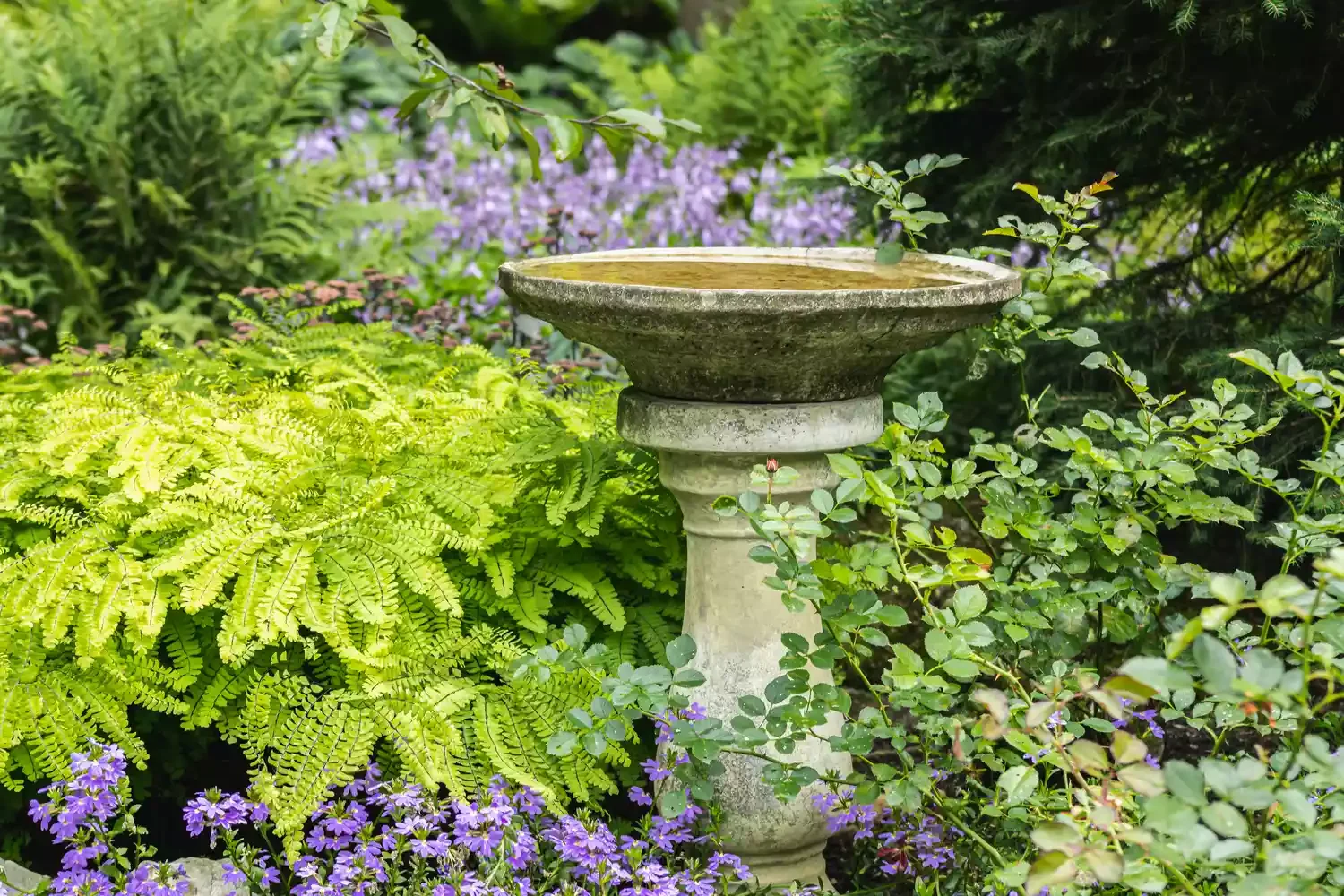 26 Whimsical Fairy Garden Ideas That Will Transform Your Backyard Into Pure Magic Nearby Bird Bath