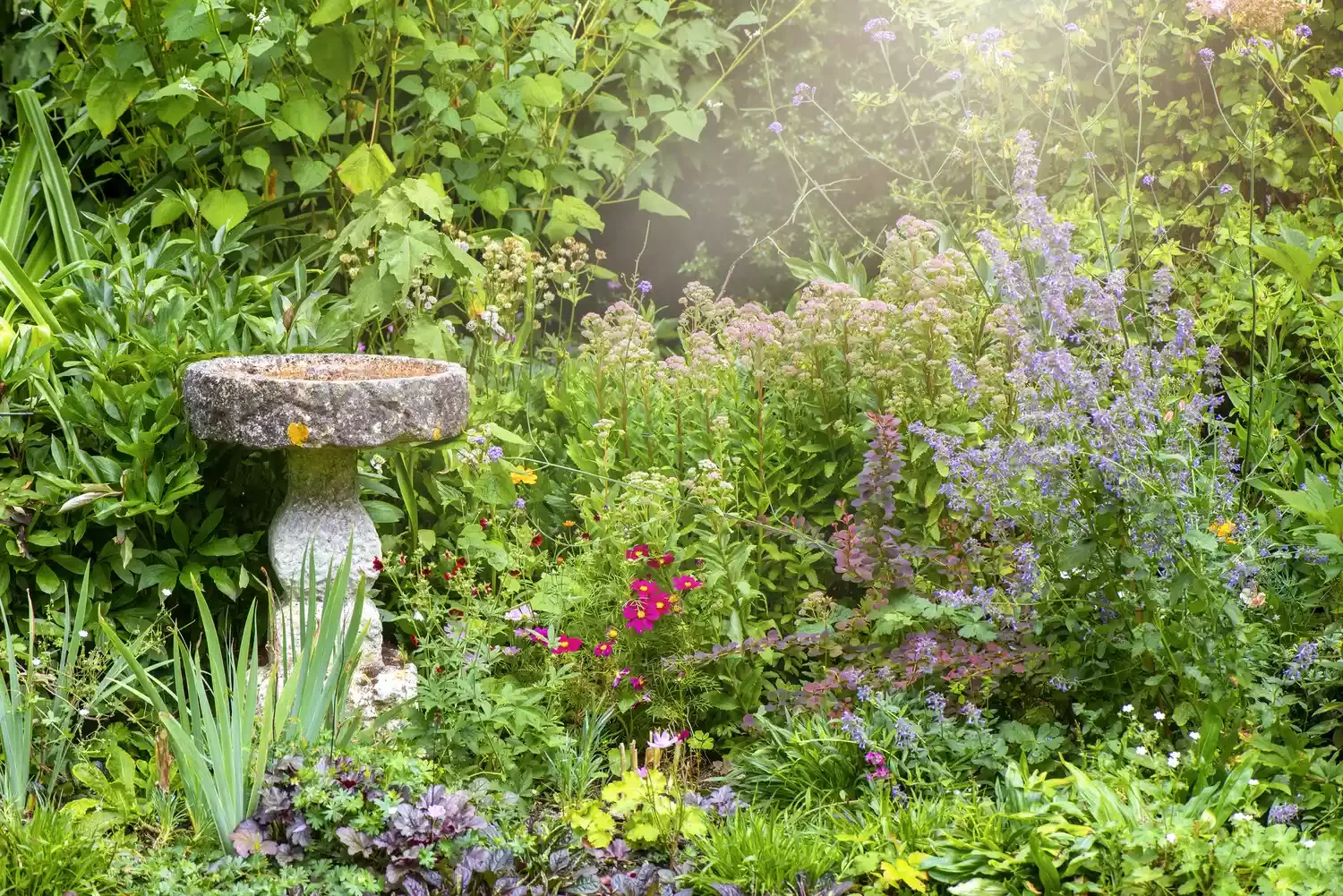 60 Garden Decor Ideas That Transform Your Outdoor Space Nestle a Bird Bath