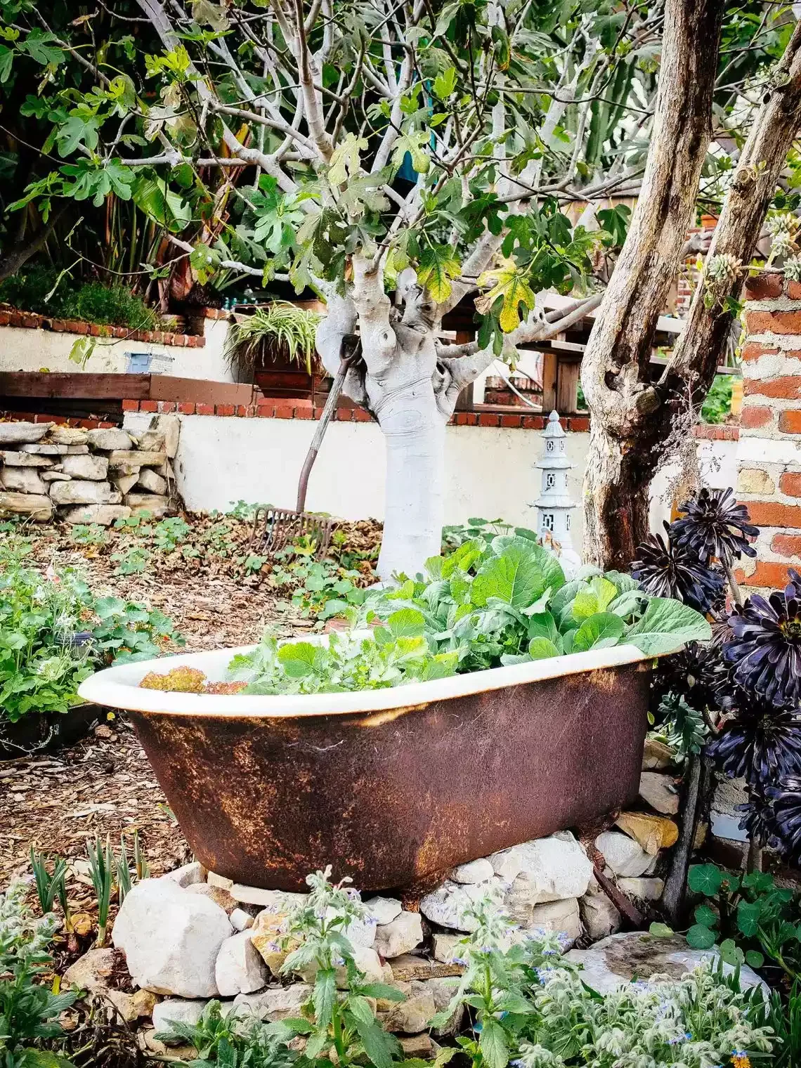 35 Creative DIY Garden Projects to Transform Your Outdoor Space No Dig Garden