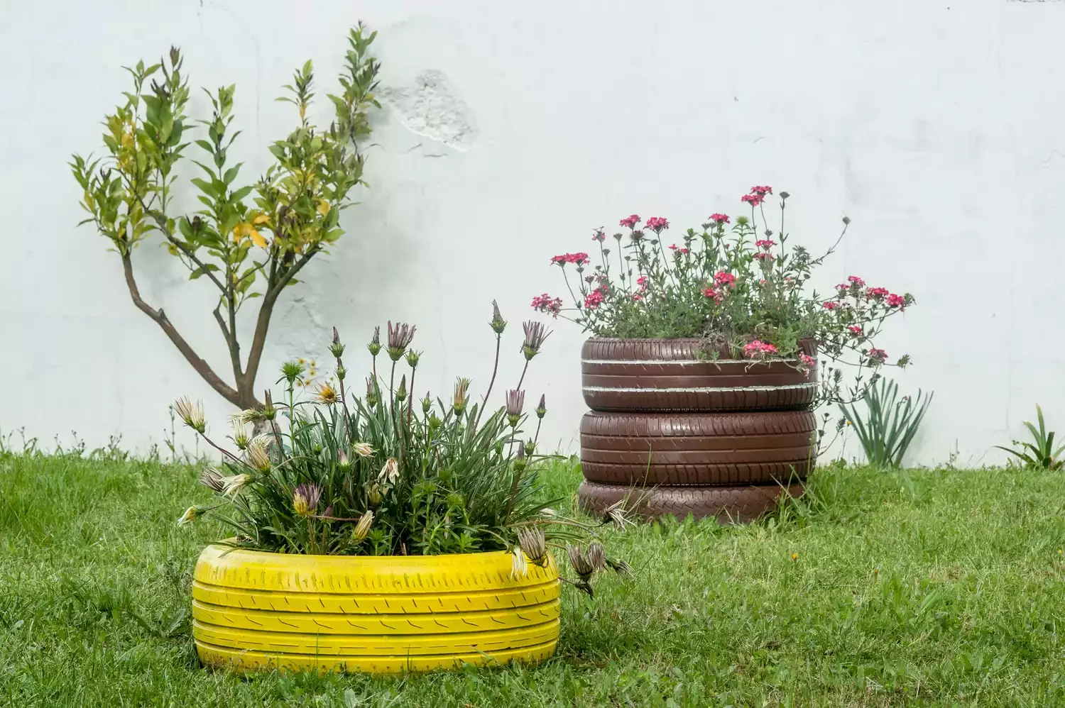 Old Tire Raised Beds