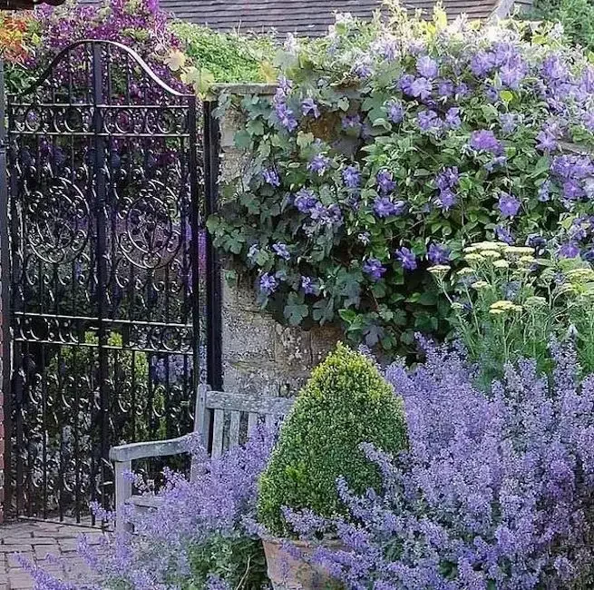 82 Stunning Front Yard Landscaping Ideas to Transform Your Home's Curb Appeal This Spring One Vibrant Color