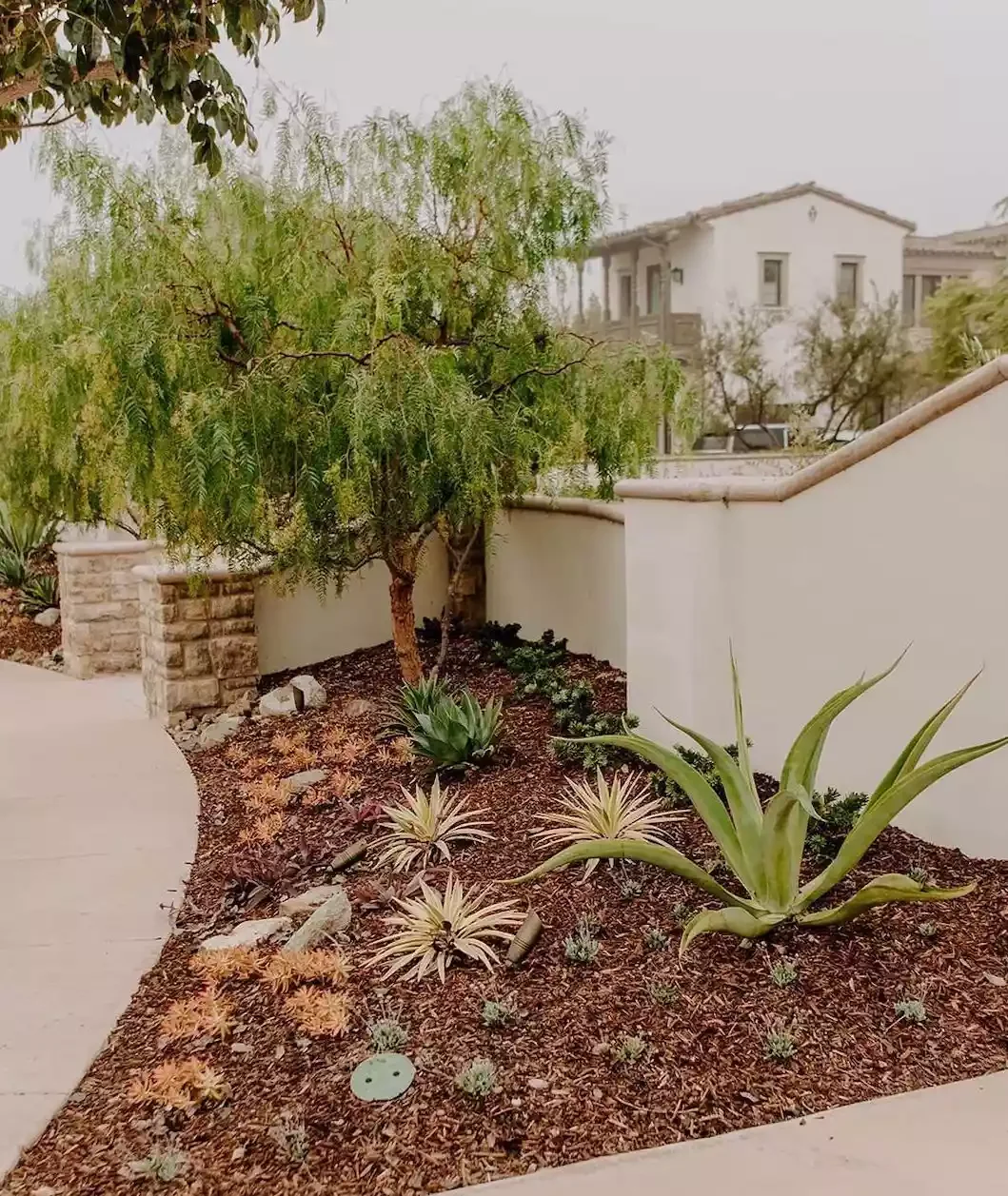 25 Breathtaking Desert Landscaping Ideas That Thrive in Hot Climates Opt for Natural Mulch