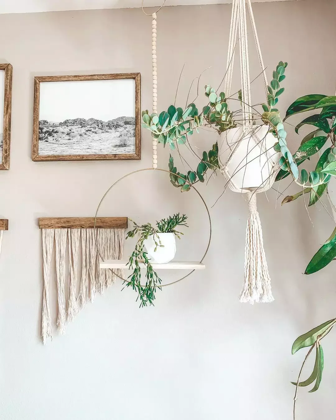 15 Creative Plant Display Ideas That'll Transform Your Home Into a Green Paradise 14 Opt for a Hanging Plant Shelf or DIY Your Own