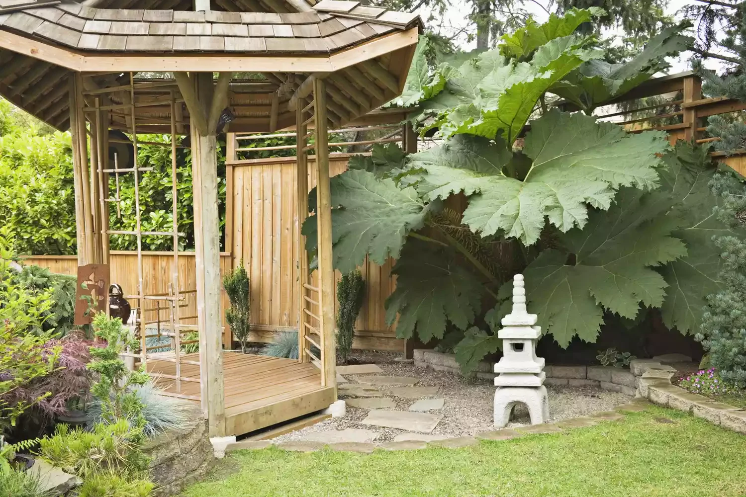 Opt for a Tea Garden