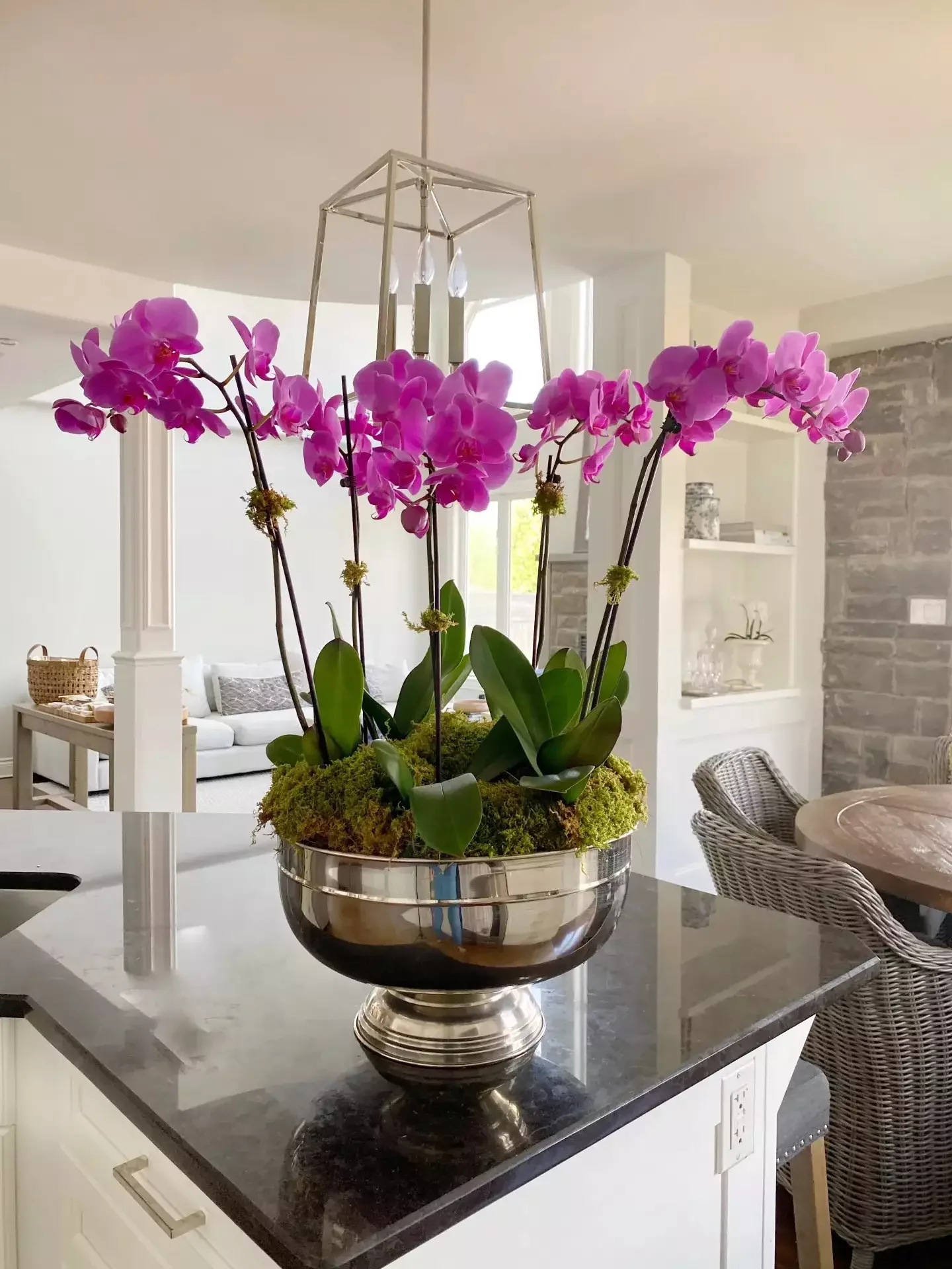 72 Budget-Friendly DIY Home Decor Ideas for Every Skill Level Orchid Display