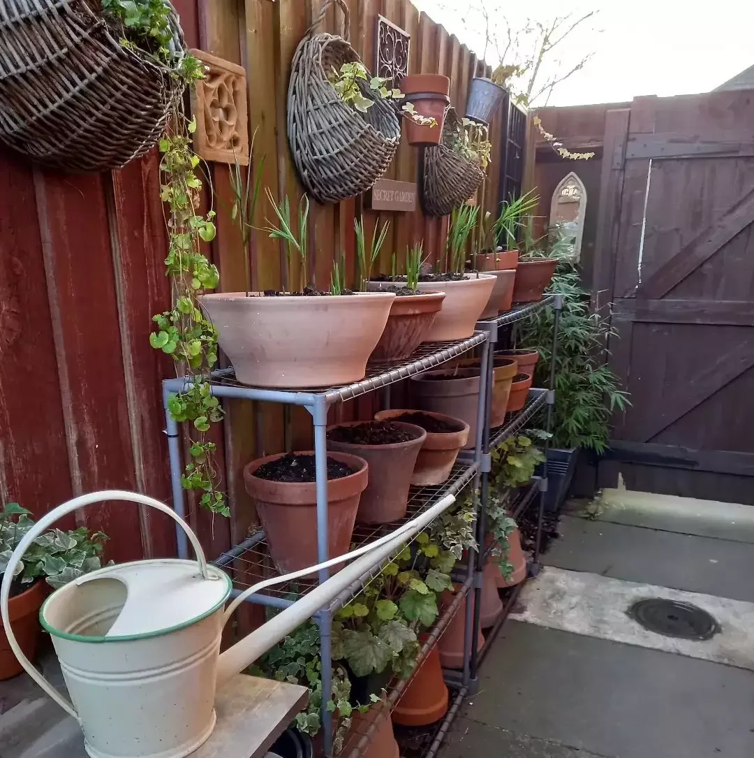 37 Budget Backyard Ideas That Create a Stunning Retreat Organize Your Growing Station