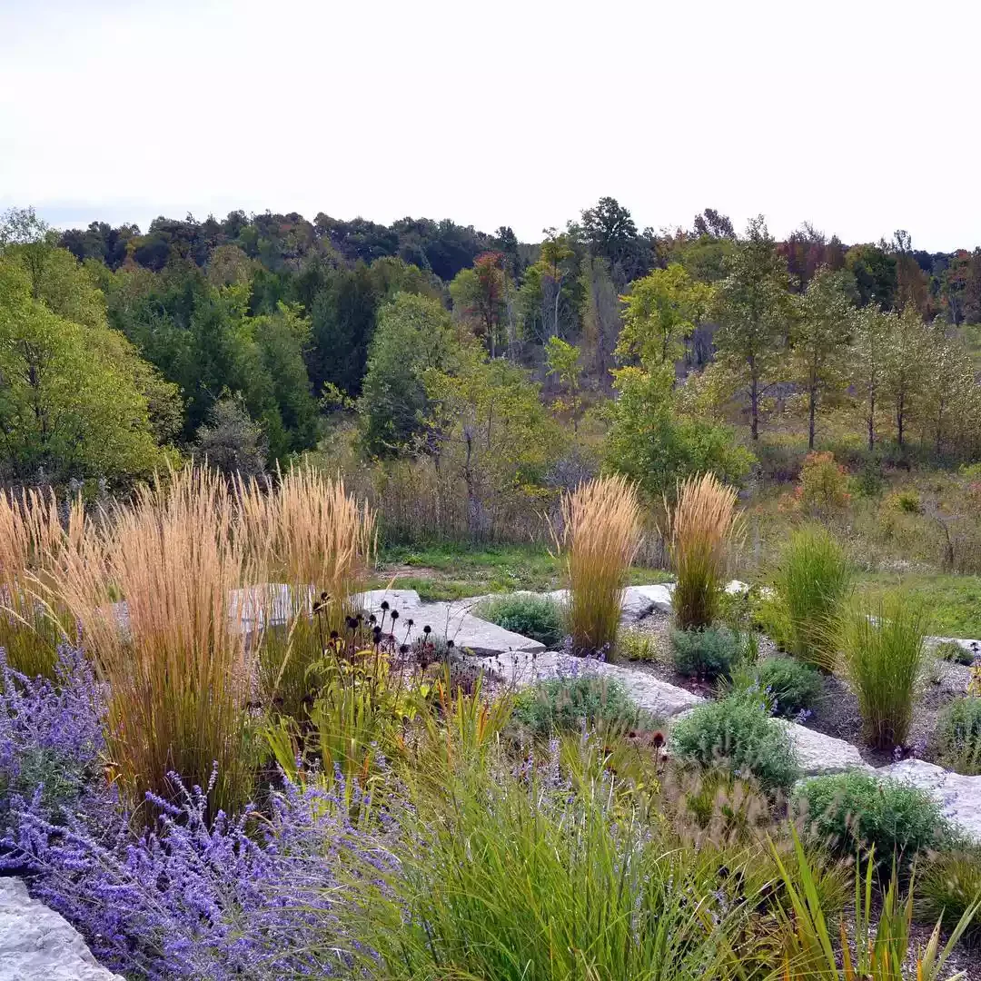 42 Stunning Retaining Wall Ideas to Transform Your Landscape Ornamental Grasses