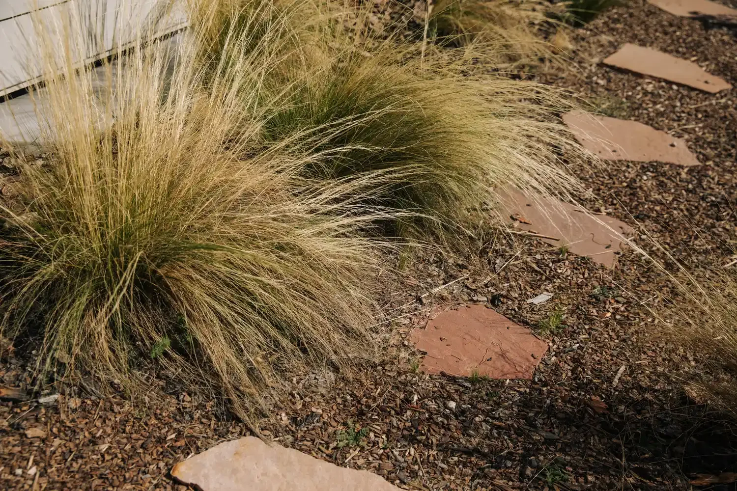 8 Beautiful Grass-Free Front Yard Ideas That Will Transform Your Outdoor Space Ornamental Grasses