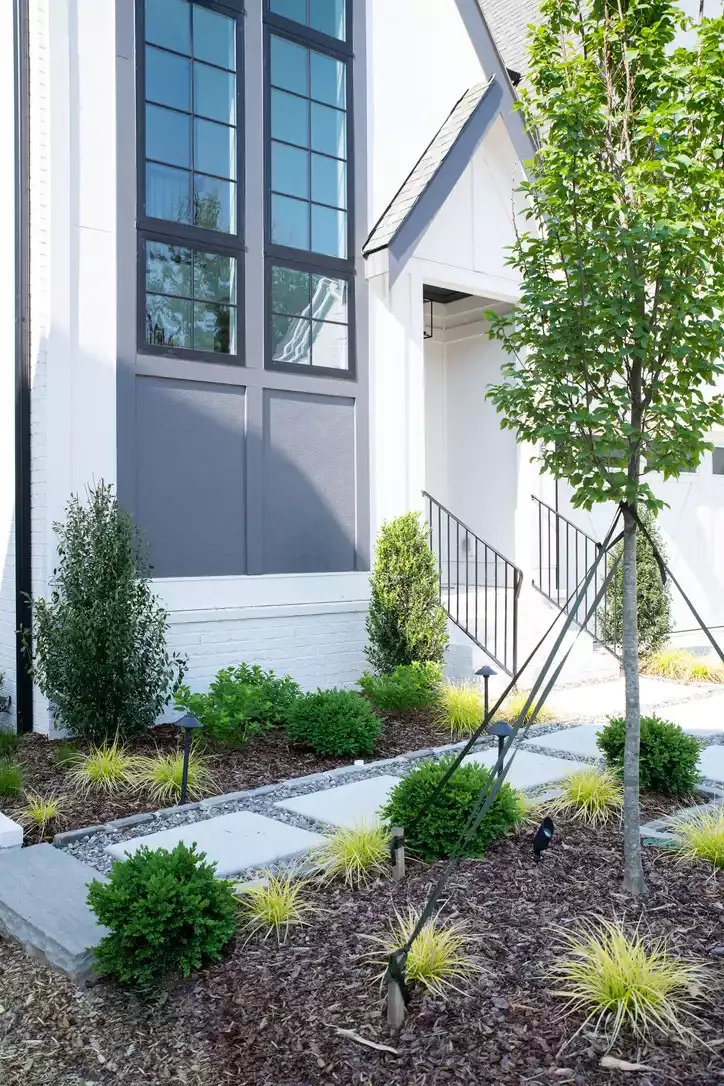 Ornamental Shrubs