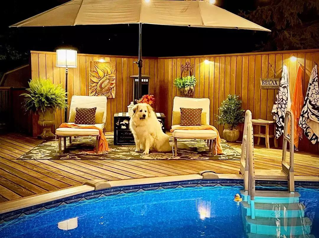 30 Stunning Above-Ground Pool Ideas That'll Transform Your Backyard 22 Outdoor Light Fixtures
