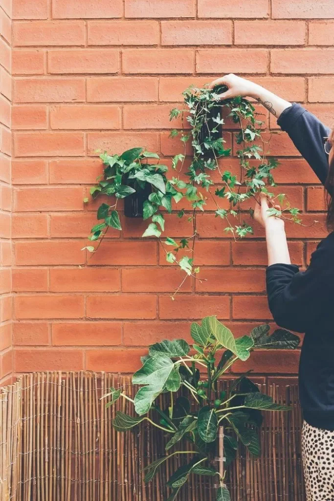 30 Creative DIY Wall Planter Projects to Transform Your Space Outdoor Wall Planters