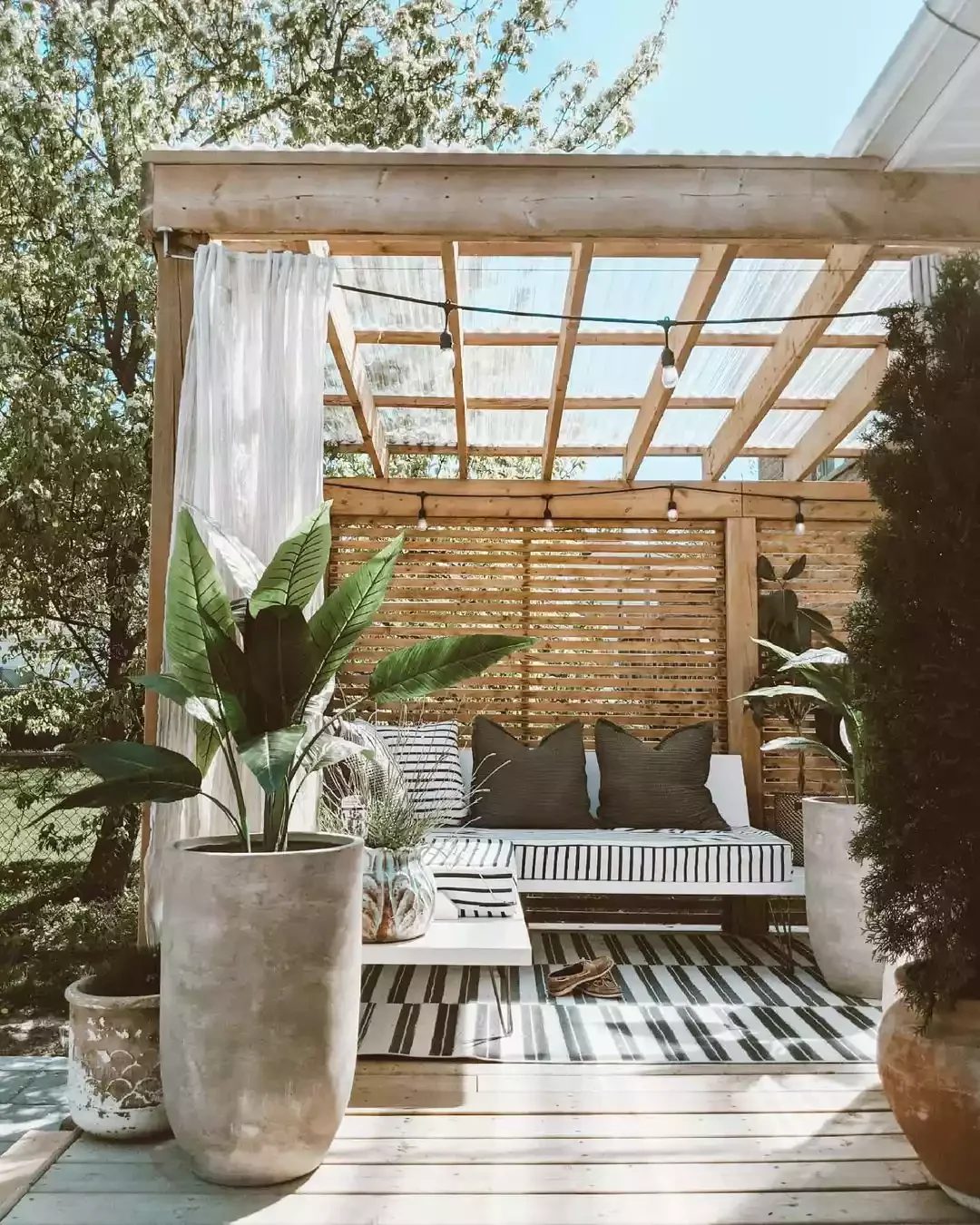 Oversized Plants