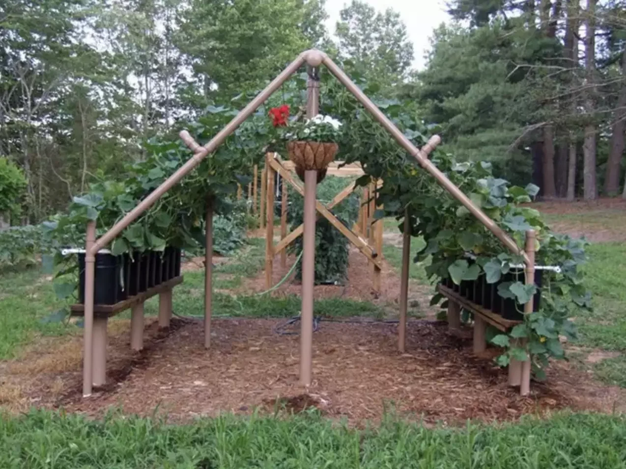 PVC Pipe Triangular Trellis