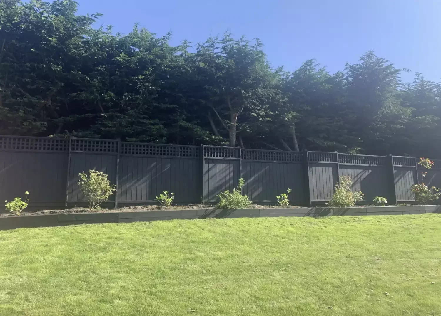 Paint Your Fence Black