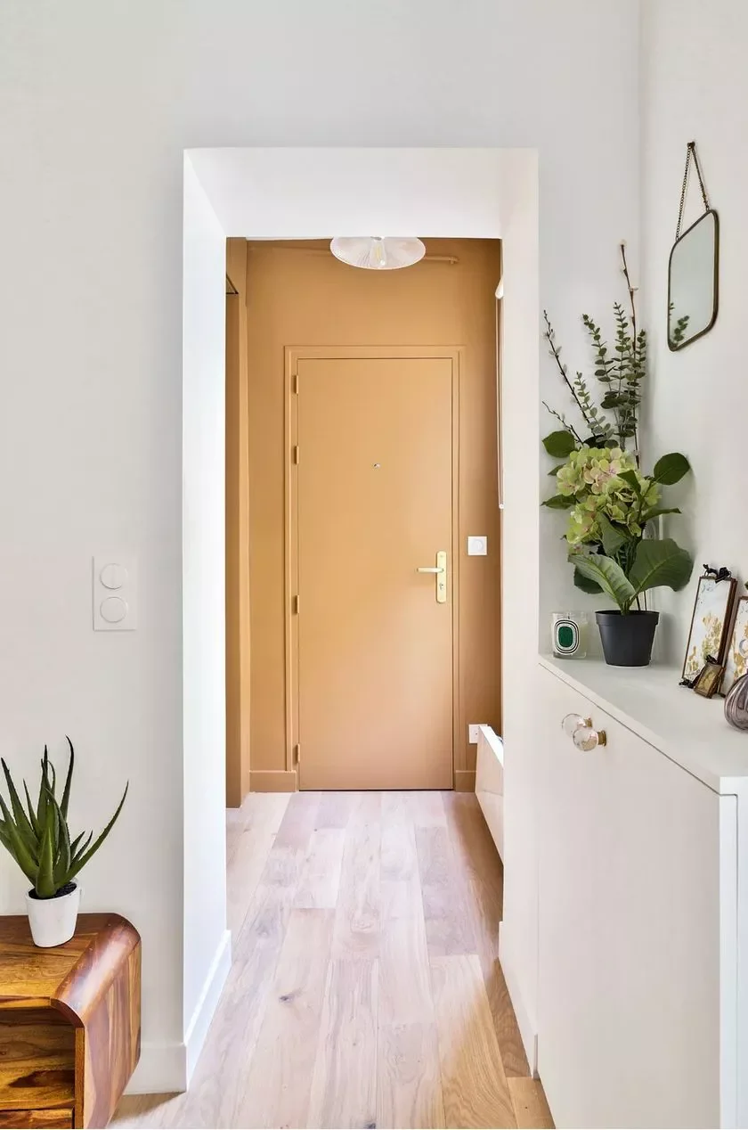 41 Smart Apartment Decorating Ideas to Transform Your Small Space Into a Stylish Home 28 Paint the Entryway