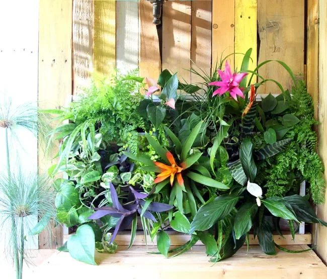 60 Creative Wood Pallet Furniture Projects That Won't Break Your Budget Pallet Living Wall