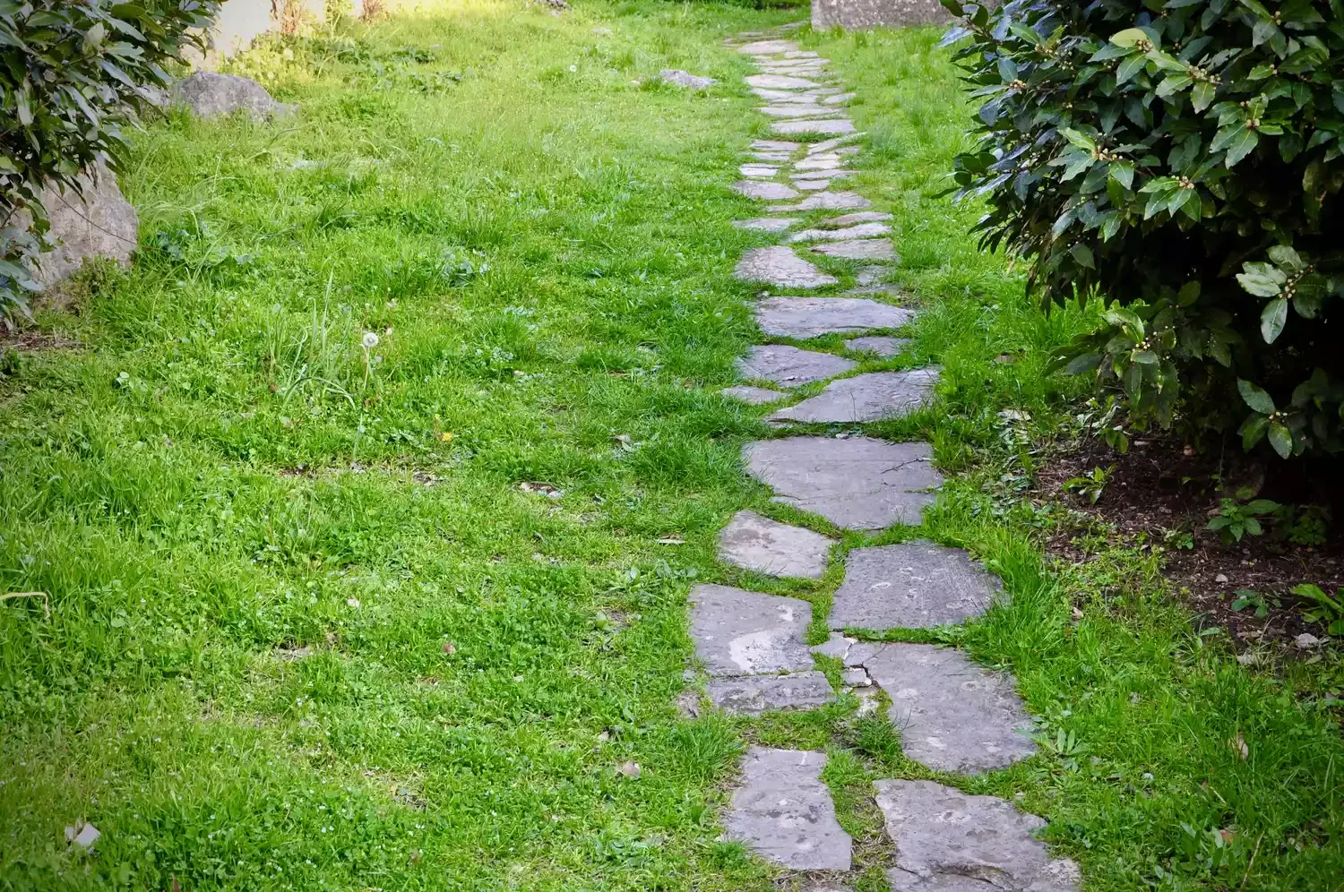 Path of Stone Pairs