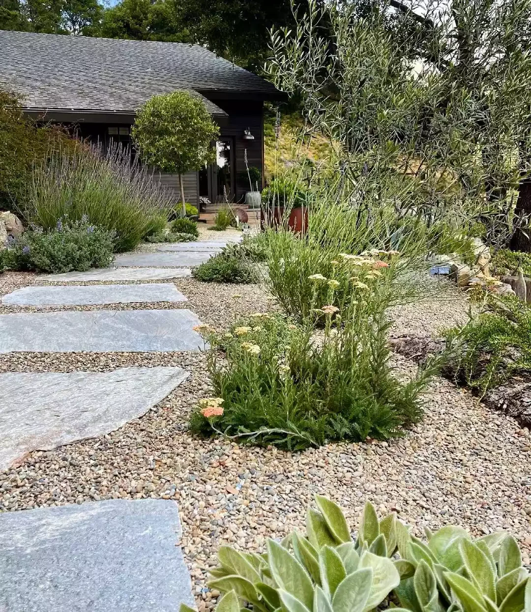 14 Creative Gravel Garden Ideas for a Beautiful Water-Smart Landscape Pathway with Stepping Stones