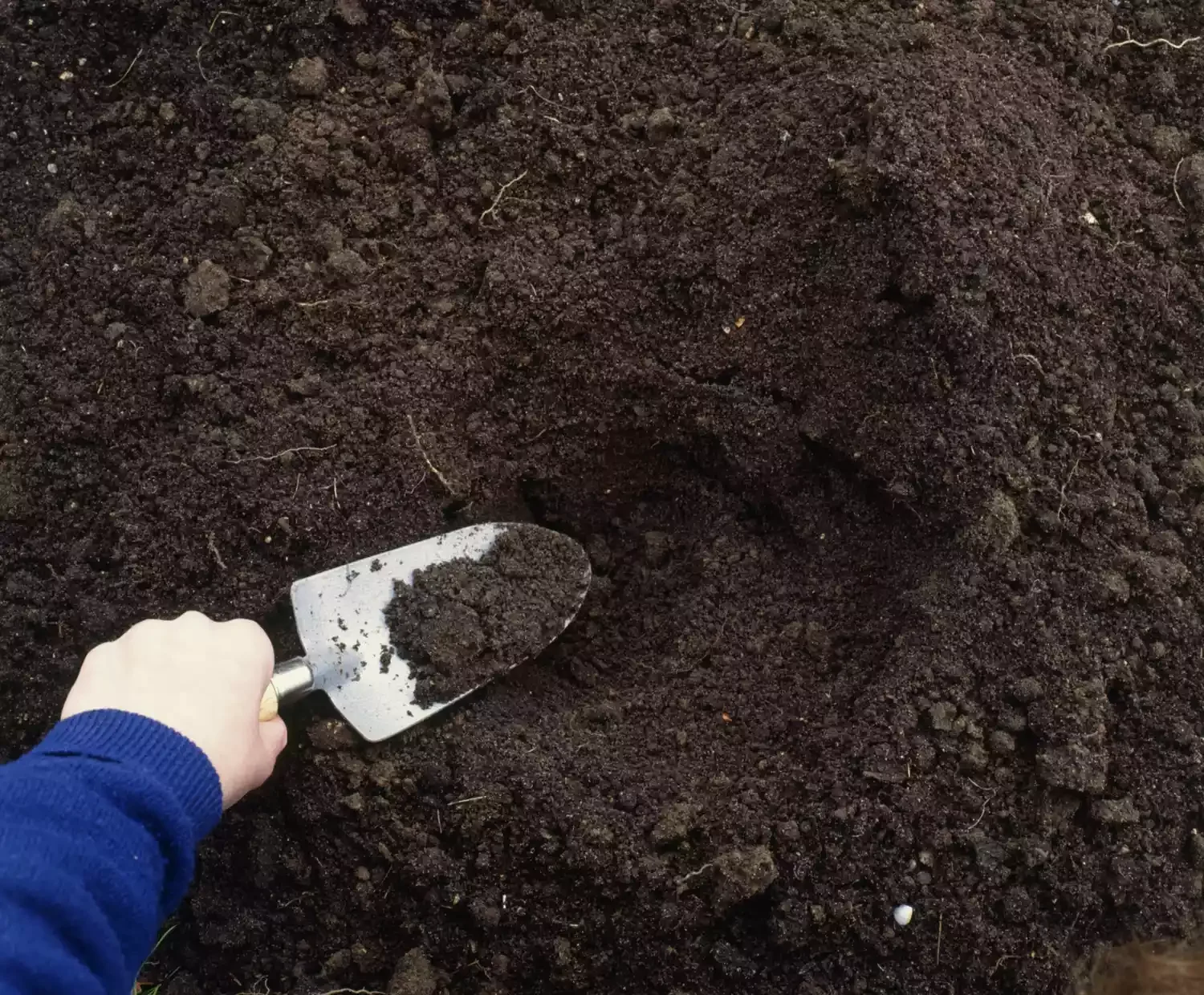 Pay Attention to Your Soil