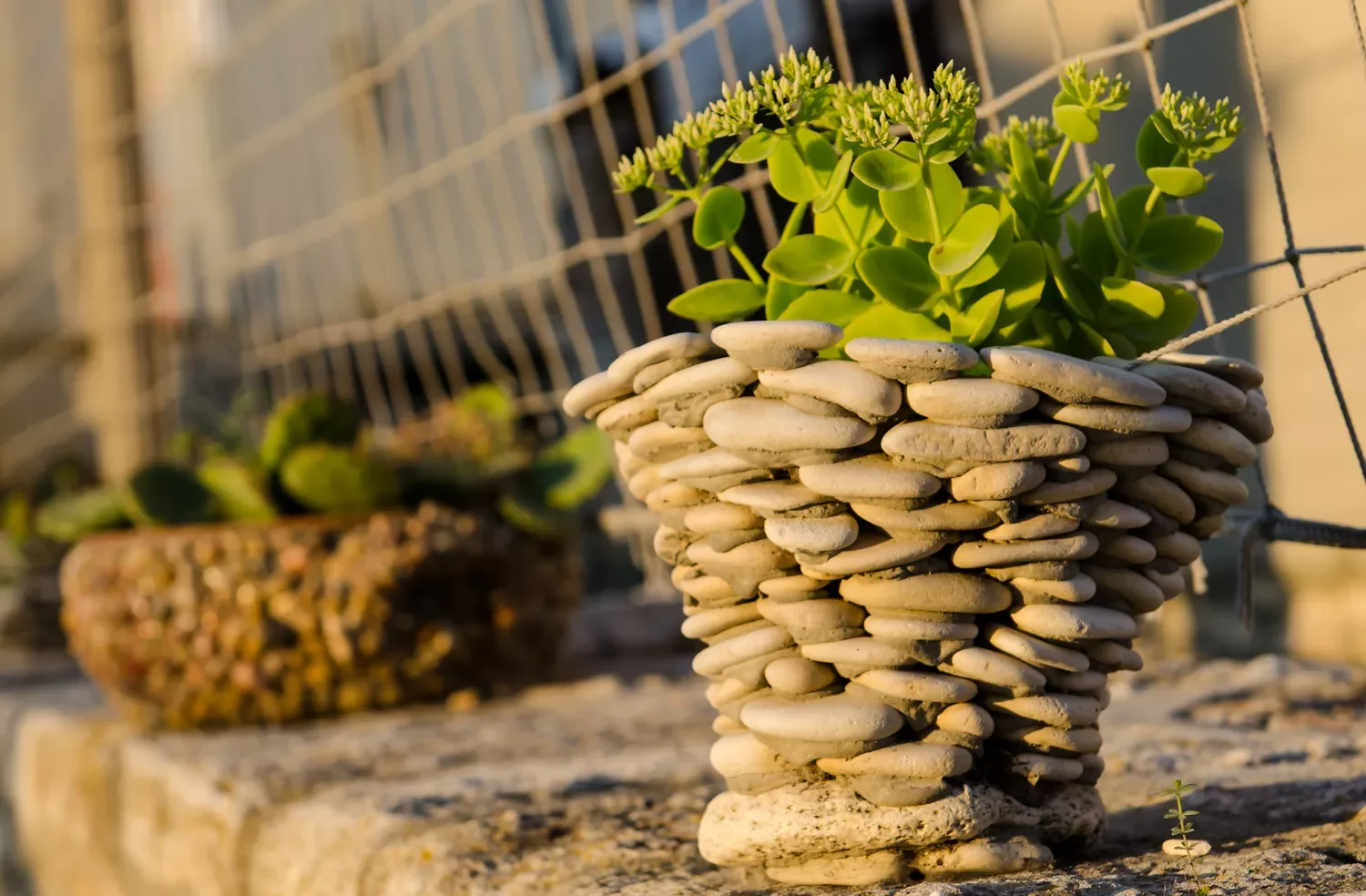 24 Creative River Rock Ideas to Transform Your Outdoor Space Pebble Pots