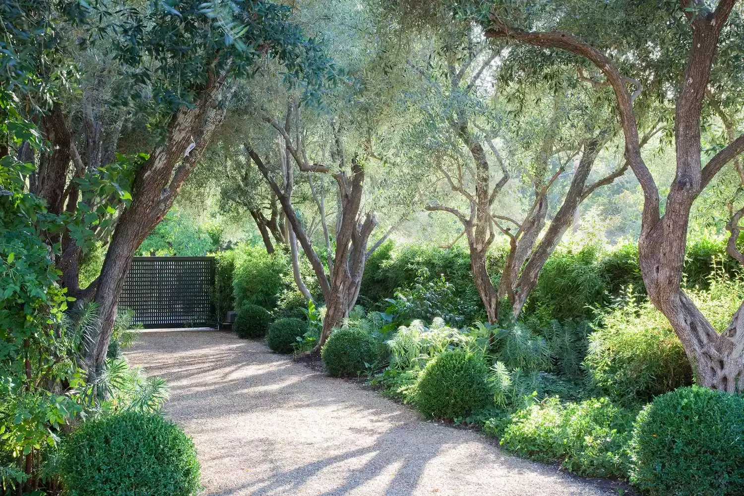 Peekaboo Driveway Gate