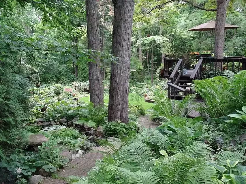 23 Creative Garden Design Ideas That Will Transform Your Outdoor Space Perennial Shade Garden