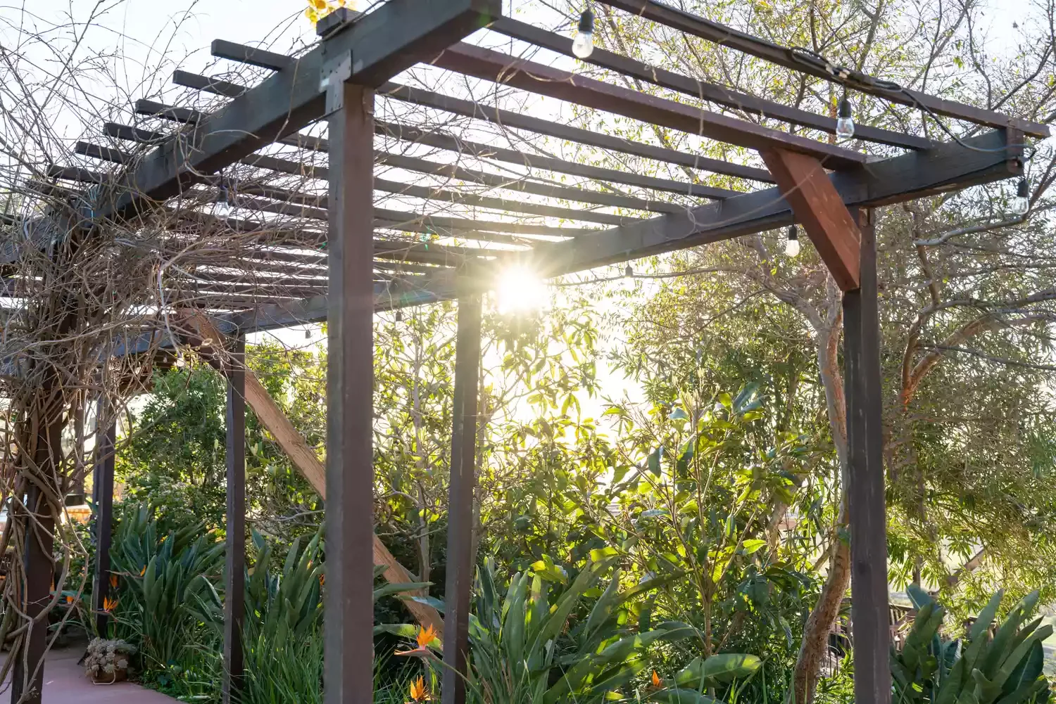 31 Stunning Pergola Ideas to Transform Your Backyard Into a Stylish Retreat 32 Pergola Considerations