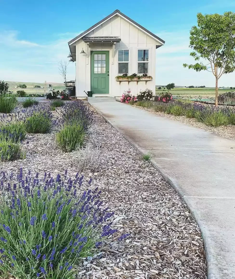 25 Breathtaking Desert Landscaping Ideas That Thrive in Hot Climates Pick Drought-Tolerant Perennials for Front Yard