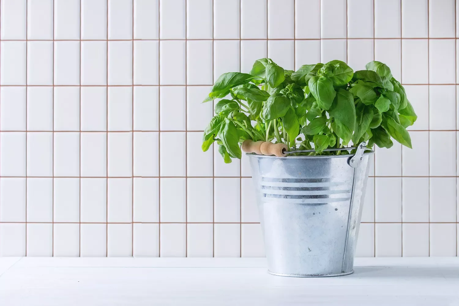 37 Creative Herb Garden Ideas to Transform Your Indoor and Outdoor Spaces Place Moisture-Loving Herbs in the Bathroom