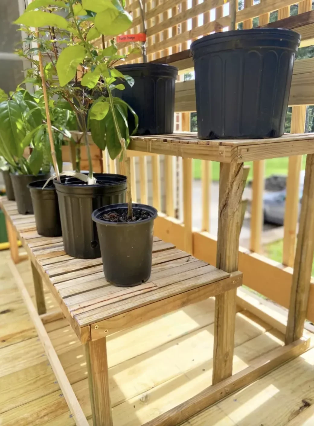 40 Budget-Friendly DIY Backyard Projects to Create Your Dream Outdoor Space Place Plants on a Two Tier Wooden Stand