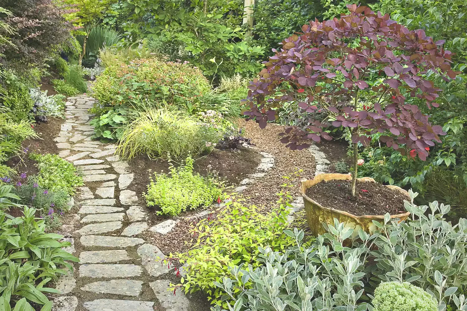 Place a Potted Tree in the Landscape